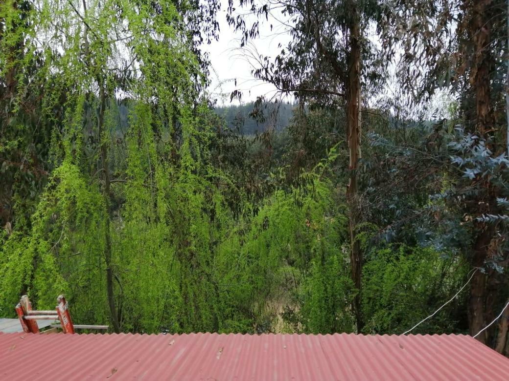 El Fogon de Rio Claro Río Claro Exterior foto