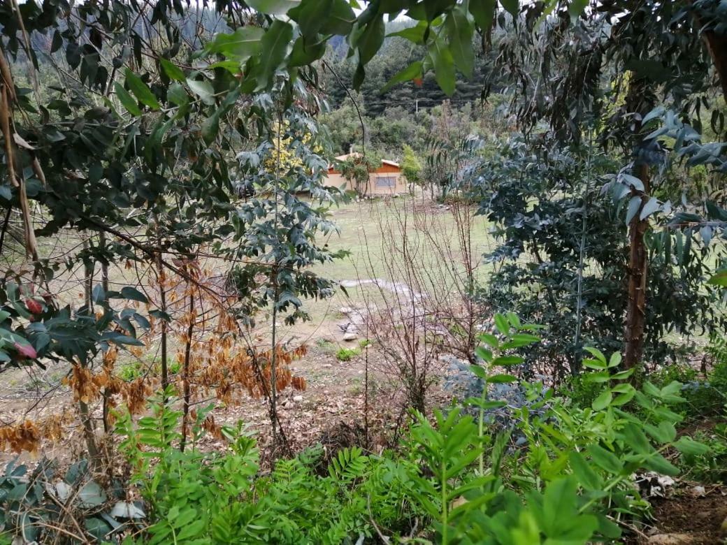 El Fogon de Rio Claro Río Claro Exterior foto